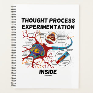 Expérimentation du processus de réflexion à l'i