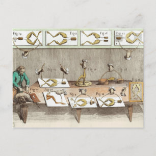 Experimenteren op kikkers briefkaart