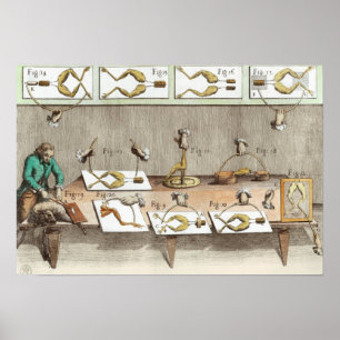 Experimenteren op kikkers poster