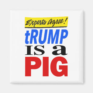 Experts zijn het erover eens dat Trump een varken Magneet