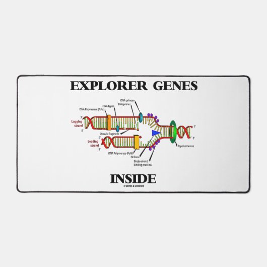 Explorateur de gènes à l'intérieur de la réplicati (Recto)