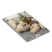 Explorez le carnet de vases à argile (Côté Droit)