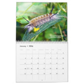 Explorez Ohio Outdoors Caterpillar Calendrier 2e E (Jan 2026)