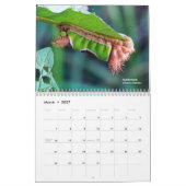 Explorez Ohio Outdoors Caterpillar Calendrier 2e E (Mar 2027)