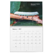 Explorez Ohio Outdoors Caterpillar Calendrier 2e E (Feb 2027)