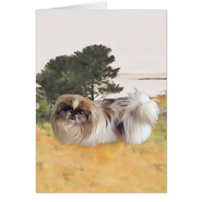 Exploring the shore (Devant)