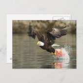 Explosievloeistof Briefkaart (Voorkant / Achterkant)