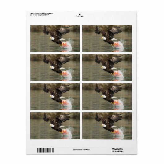 Explosievloeistof Etiket (Full Sheet)