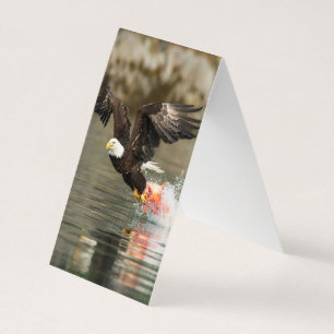 Explosievloeistof Kaart