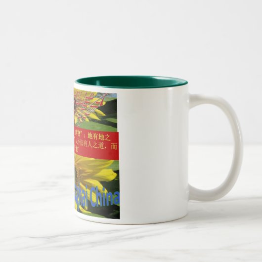 Expo 2010 Shanghai Mok (Rechts)