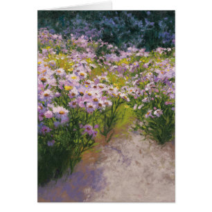 Exposition d'aster de Buckhorn