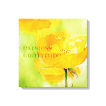 Express Gratitude Oranje Poppy