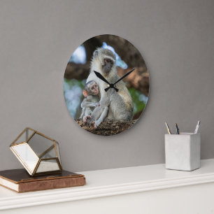 Expressieve Meerkat in Afrika Grote Klok