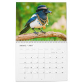 Expressions Bestiales – Calendrier d'Idiomes Anima (Jan 2027)