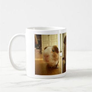 Expressions d'un cobaye : Tasse