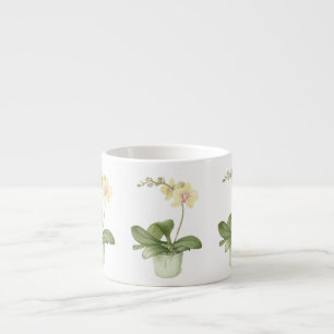 Expresso Orchidée dans le pot vert dans la tasse botanique