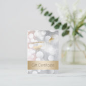 Extensions Eyelash Silver & Or Certificats cadeaux (Debout devant)