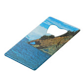 Extérieur de la baie de Seward Alaska Abstrait (Dos Angle)