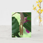 Exterminator Notecard Kaart (Gele Bloem)