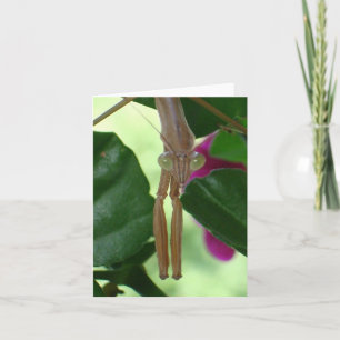 Exterminator Notecard Kaart