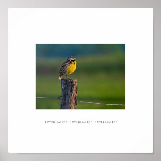 Extern, Extern, Extern, Extern Poster externaliser (Voorkant)