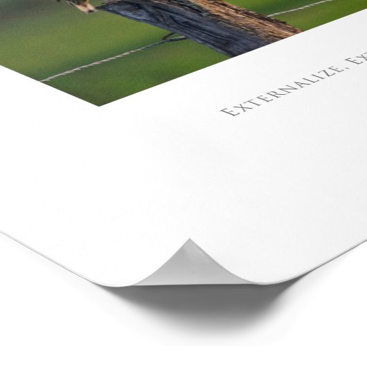 Externaliser, Externaliser, Externaliser Poster (Coin)