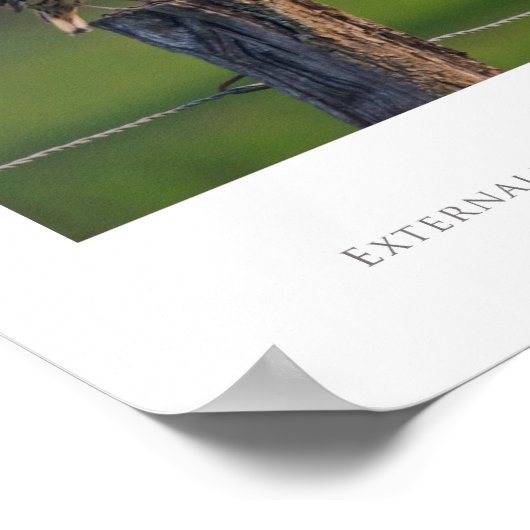 externaliseren, externaliseren, externaliseren poster (Hoek)