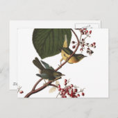 Extra Warbler van Audubon Briefkaart (Voorkant / Achterkant)