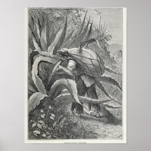 Extractiemulkool Poster (Voorkant)