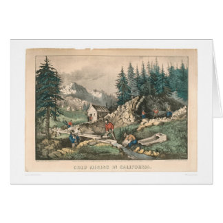 Extraction de l'or en Californie (0636A)