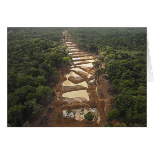 Extraction d'or alluvionnaire. Forêt tropicale, Gu