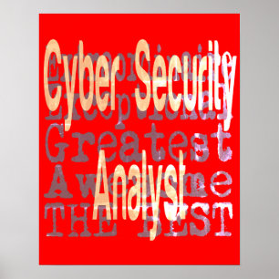 Extraordinaire cyberbeveiligingsanalist poster
