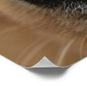 Extreem dichtbij een hondenneus. poster (Hoek)