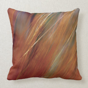 Extreme close-up van de tarweteelt in het veld kussen