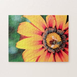 Extreme close-up van een bij die polen verzamelt legpuzzel