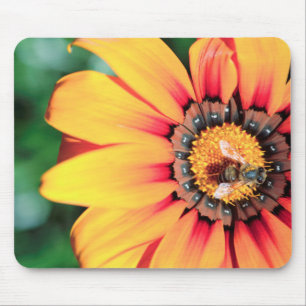 Extreme close-up van een bij die polen verzamelt muismat