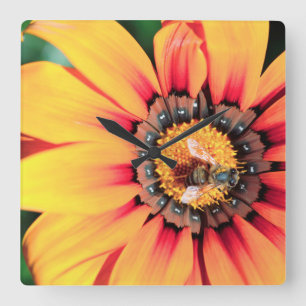 Extreme close-up van een bij die polen verzamelt vierkante klok