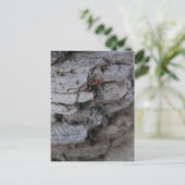 Extreme klimmer briefkaart (Staand voorkant)