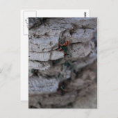 Extreme klimmer briefkaart (Voorkant / Achterkant)