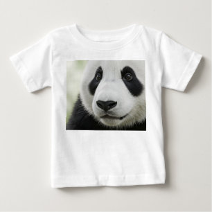 Extreme Macro Pandabeer Jong Gezicht Portret