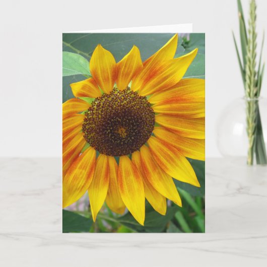 Extrémité de carte de tournesol d'été (Devant)
