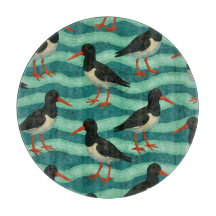 Eye Catching Oyster Catcher