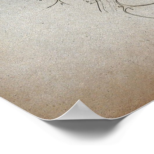 Eye Diagram Etching Print Poster (Hoek)