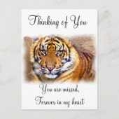 Eye is dat See_ Briefkaart (Voorkant)