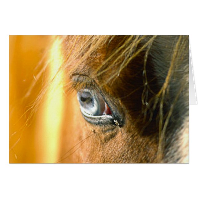 Eye love you (Voorkant Horizontaal)