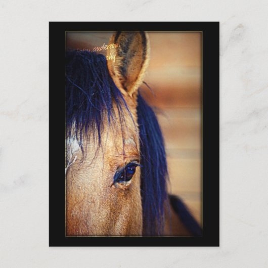 Eye Spy - Briefkaart (Voorkant)