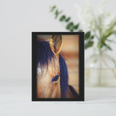 Eye Spy - Carte postale (Debout devant)