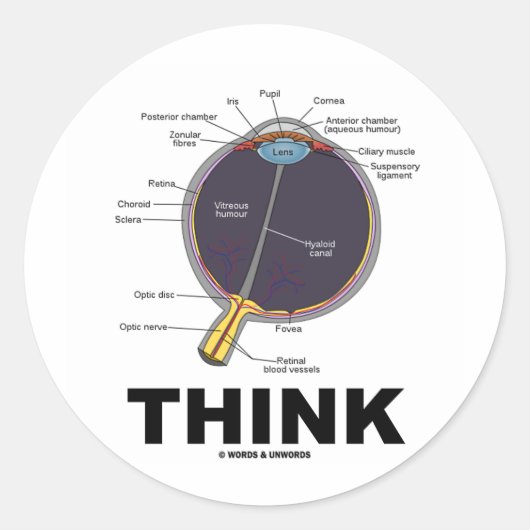 Eye Think (ik denk anatomische Humor) Ronde Sticker (Voorkant)