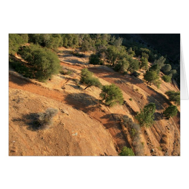 eYe-uitzicht van eAgLe (Voorkant Horizontaal)