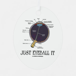 Eyeball It Human Eye Anatomee Geek Advice Metalen Ornament